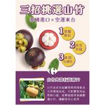 Boxed Mangosteen , , large