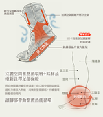 生命磁 鈦赫茲遠紅外線空氣循環襪套, , large