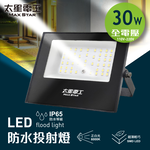 Max Star 30WLED waterproof spotlight/full voltage, , large