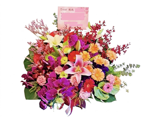 Potted Flowers