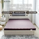 台灣製【藤原傢俬】冬夏兩用護背防螨抗菌10 cm彈簧床墊-硬, , large