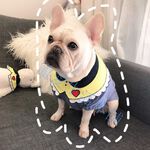 【寵愛生活本舖】-鈕扣款-INS款火紅寵物口水巾 狗圍脖 貓圍脖 寵物領巾, , large