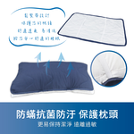 【多利寶寢具】Indian_抗菌防蟎枕頭保潔墊枕套(1對), , large