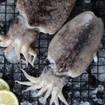 Flower branches, , large