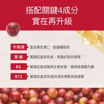 【FJ豐傑生醫】甘氨酸亞鐵60顆/袋-幫助養顏美容也是絕佳的孕婦營養品優質鐵來源x養顏美容x孕期補充, , large