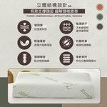 【Galatea 葛拉蒂】竹纖維卡斯達慢回彈記憶護頸枕(睡眠枕/記憶枕/人體工學/枕頭), , large