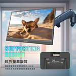 External monitor, , large