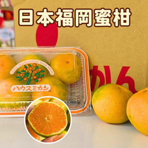 Japanese Air Freight Fukuoka Prefecture