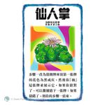 BANG! THE BULLET! , , large