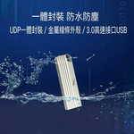 [FANXIANG] USB3.0 waterproof flash drive with full metal body and keychain - F310-32GB-2 pieces in silver, , large
