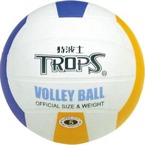 Color Volleyball
