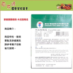 【向花緣】農友 木瓜型南瓜 - 瓜果種子, , large