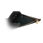 Card＆Coin Clip, , large