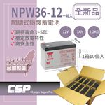 團購【YUASA】NPW36-12  (10顆/箱) 鉛酸電池12V36W UPS 不斷電系統 童車 應急照明系統 醫療設備用電, , large