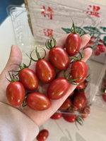 [芯鮮果]台灣嚴選( 玉女小番茄 ), , large