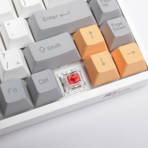 RK 65% 68 key Mechanical Keyboard ( Red switches )