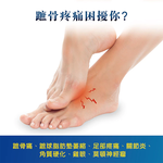 Metatarsal cushioning, , large