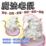 GS MALL 台灣製造 魔法成長錢鼠 魔法開花鼠 成長鼠 錢鼠 神奇錢鼠 紙花 開花鼠 裝飾樹 開花樹, , large