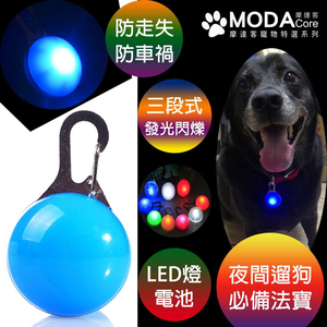 LED light up dog collar