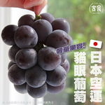 【寅食3 a.m.】日本貓眼葡萄雙串禮盒(附提袋), , large