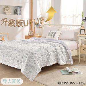 升級版瞬涼冰絲夏被雙人-曉春