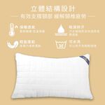 【吉梵尼 范侖鐵諾】台灣製造 石墨烯遠紅外線健康枕 石墨烯枕2入, , large