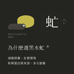 [逆風飛翔]喵皇奴 虻貓機能主食罐 綜合口味24入, , large