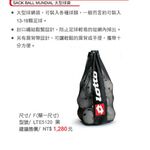 [秉宸] LOTTO 樂得 專業大型球袋 球網袋 收納袋 排球球袋 足球球袋 籃球球袋 LTE5120, , large