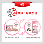 Royal Canin Weaning Kittens & Nursing Mothers BC34, , large