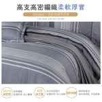 FITNESS 精梳棉雙人七件式床罩組-安德里-灰, , large