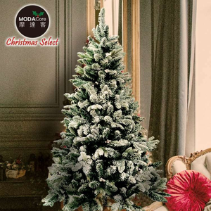 XMAS TREE