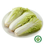 TAP Cabbage Sprouts  , , large