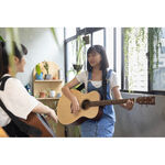instrument, , large