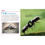How Animals Live-Birthing, , large