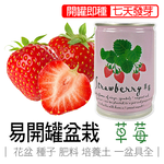 strawberry, , large