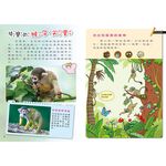 [小牛頓]PLAY&LEARN：雨林探險 適合5-8歲 平裝全彩 高階遊戲書, , large