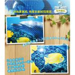 GS MALL  台灣製造 2D海洋壁貼 150X58CM 海洋壁貼 2D壁貼 窗貼 壁貼 裝飾壁貼 壁飾 壁貼, , large