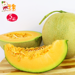 [永全鑫]【果之家】台南七股超甜爆汁網紋紅肉哈密瓜5斤裝, , large
