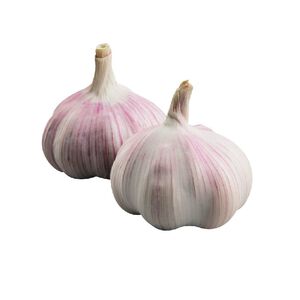 Garlic 300g_bag