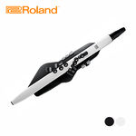 ROLAND AE-20 數位吹管 黑/白款【敦煌樂器】, , large