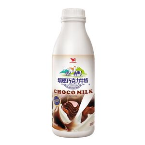 Rei-Sui Choco Milk