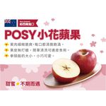 Bagged imported Apple, , large