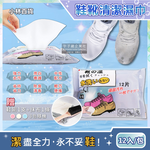 Lin Shoe Wipes 12pcs, , large