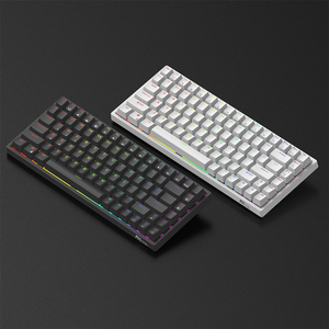 RK 75% 84 key RGB Mechanical Keyboard ( Brown switches )