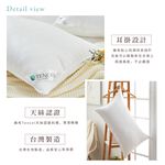 DUYAN竹漾 奧地利舒眠天絲枕 台灣製, , large