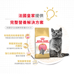 Royal Canin British Shorthair Kitten Food BSK38, , large