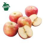 富士蘋果 #88, , large