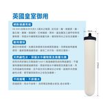 【麗水生活】英國Doulton 陶瓷濾心組(可適用金字塔)STERASYL 9504丹頓搭配鎖牙濾心 通規非原廠, , large