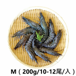 Penaeus monodon, , large