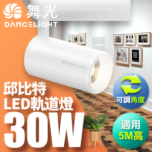 DanceLight舞光 30W邱比特軌道燈 一體式方便安裝 長管型 時尚白/貴族黑(白光/自然光/黃光)
